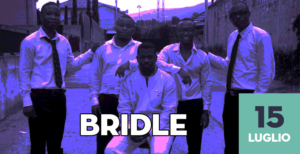 bridle-dinnerlive-2014